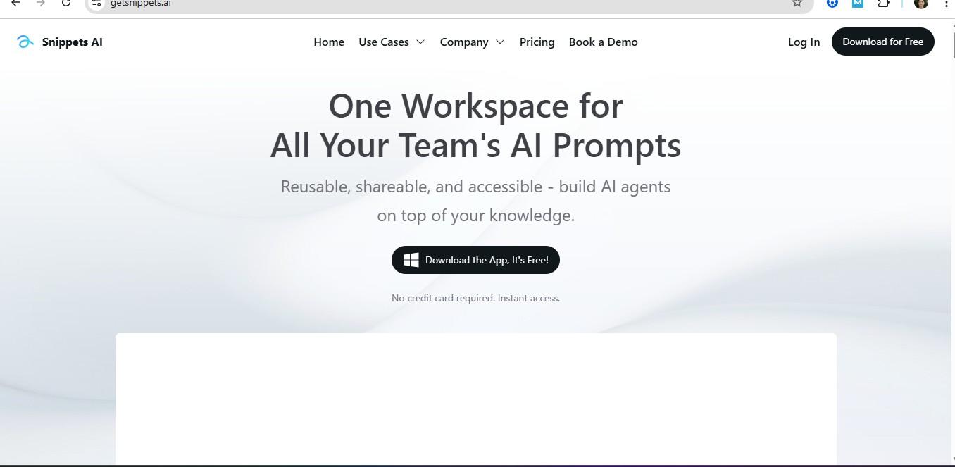 Snippets AI screenshot